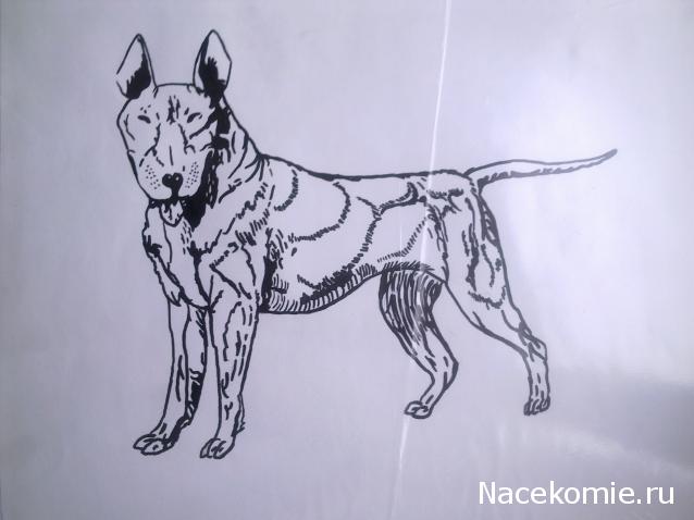 The Dog Collection Болталка