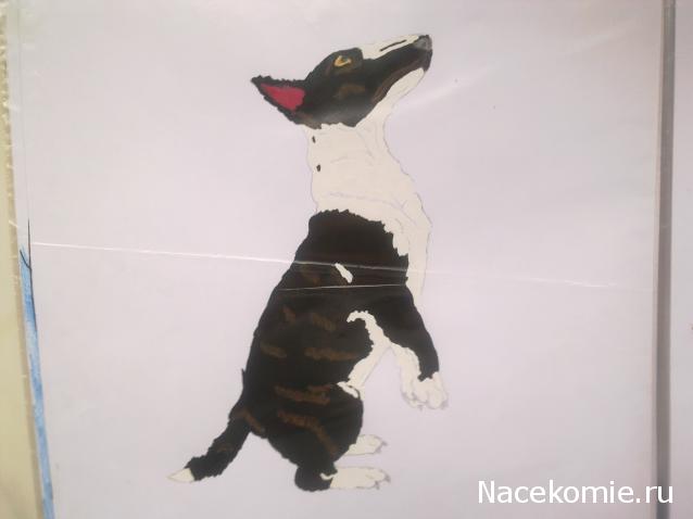 The Dog Collection Болталка