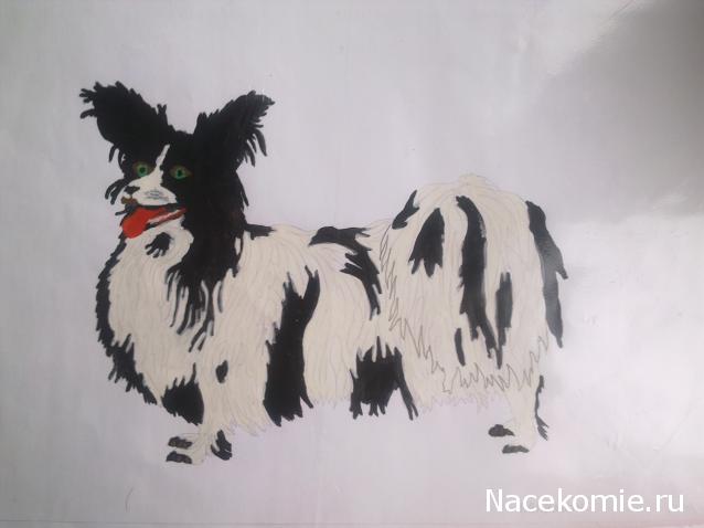 The Dog Collection Болталка