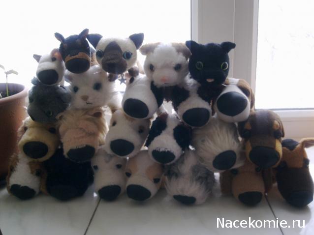 The Dog Collection Болталка