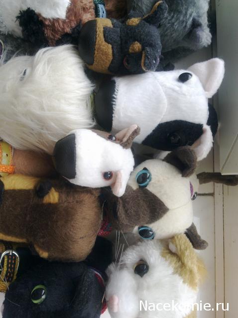 The Dog Collection Болталка