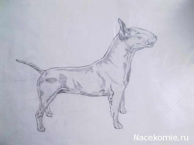 The Dog Collection Болталка