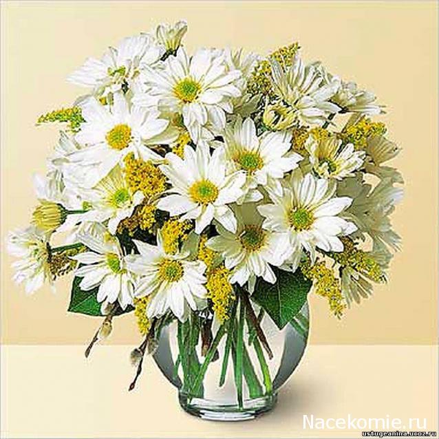 Дом Мечты наши дни рождения