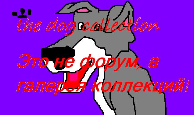 The Dog Collection Болталка
