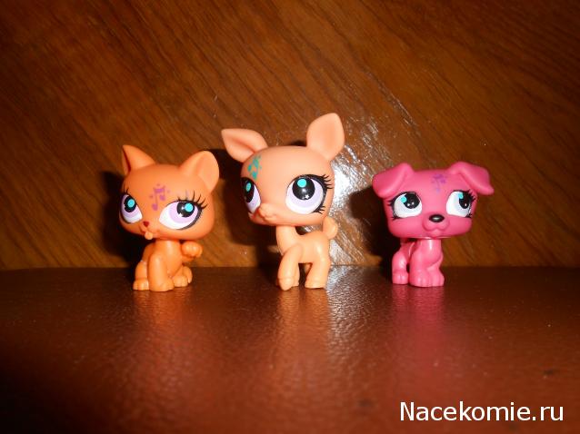 Littlest Pet Shop (Маленький зоомагазин)