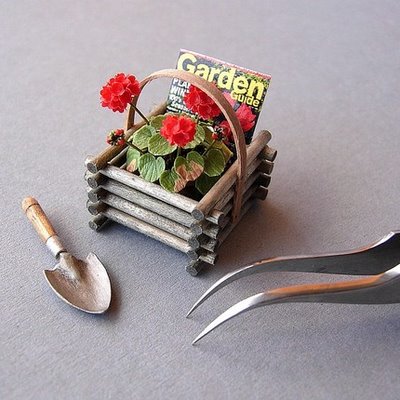 Albusya - "Dream House"