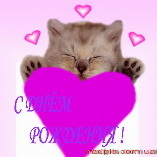 Дом Мечты наши дни рождения