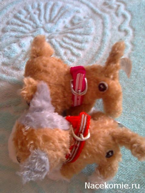 The Cat Collection №40 Селкирк-рекс Фото