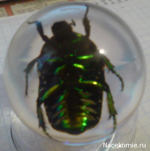 Тестовая серия