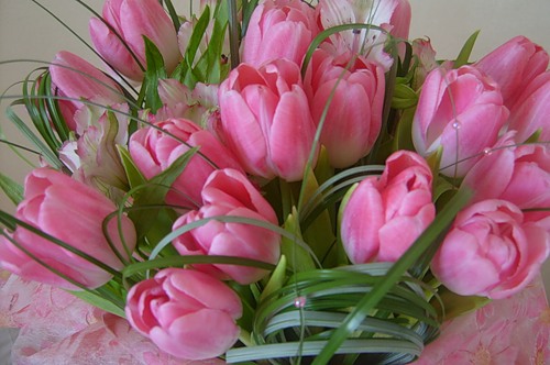 Дом Мечты наши дни рождения