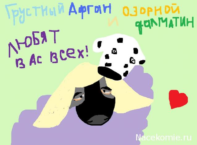 The Dog Collection Болталка