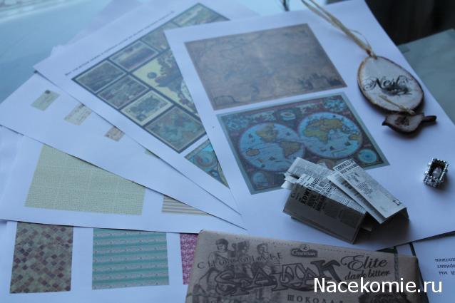 sphynx Канадские сфинксы в английском доме