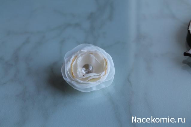 sphynx Канадские сфинксы в английском доме