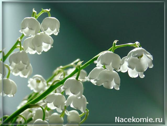 Nastia26: Тихий уголок викторианской Англии