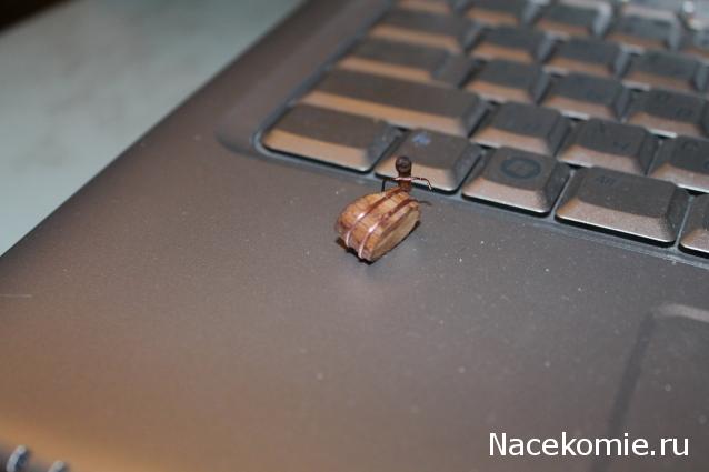 sphynx Канадские сфинксы в английском доме