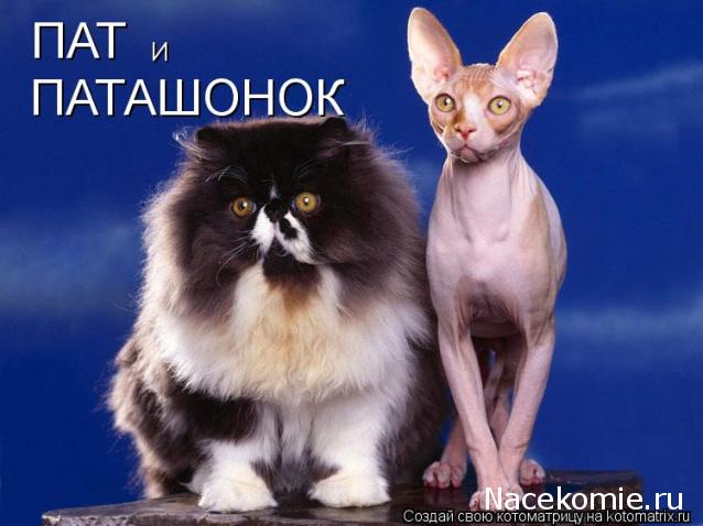 Другие воины разных эпох в миниатюре: фото, обсуждение