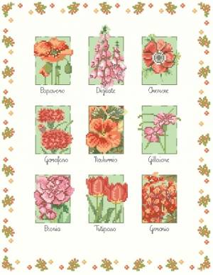 Round Robin_координатор Mabelle