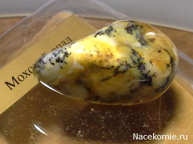 Энергия камней №111 Моховой опал (окатанный камень) фото, обсуждение