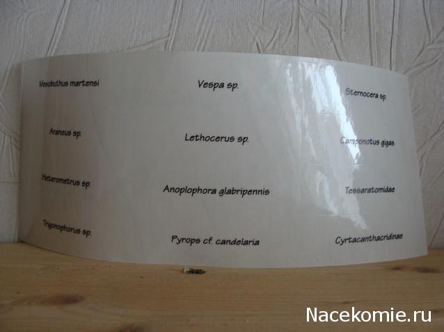 Тестовая серия