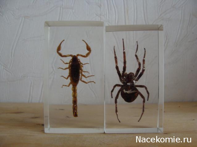 Тестовая серия