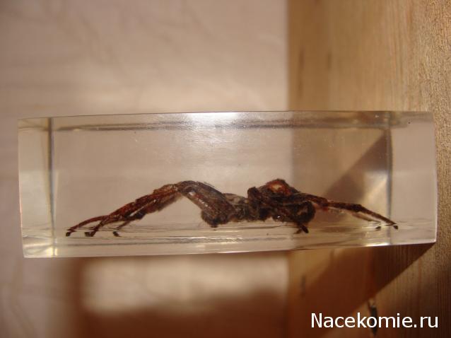 Тестовая серия