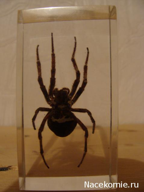 Тестовая серия