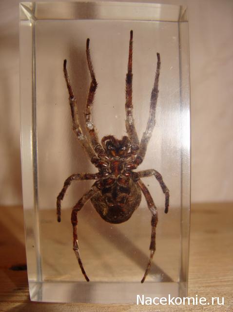 Тестовая серия