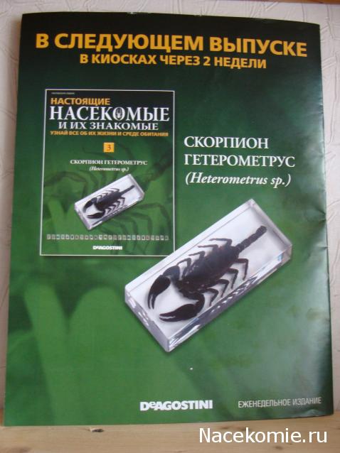 Тестовая серия