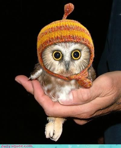 Дом Мечты наши дни рождения