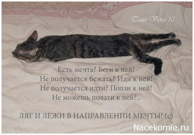 Дом Мечты наши дни рождения