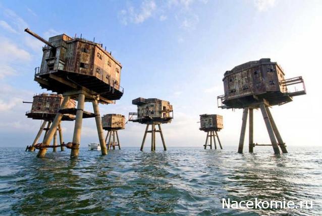 Танкодром (Общая Болталка танковых разделов)