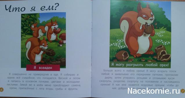 Тестовая серия