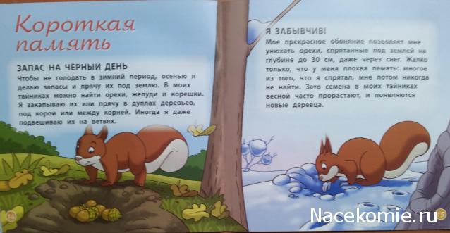 Тестовая серия