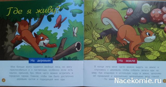 Тестовая серия