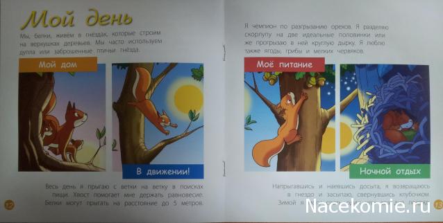 Тестовая серия