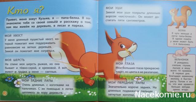 Тестовая серия