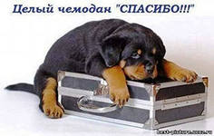 Тестовая серия