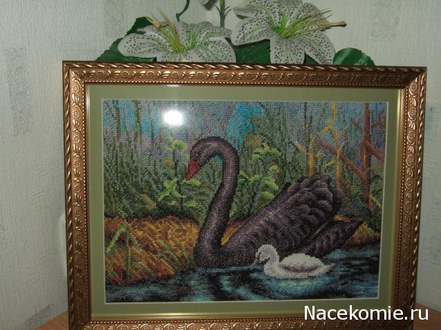 Хвастушки - наши творения