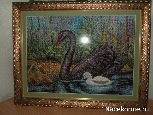 Хвастушки - наши творения