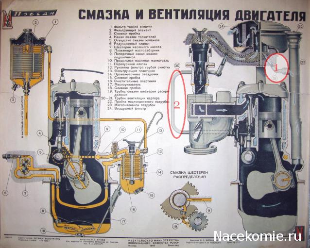 Победа №13