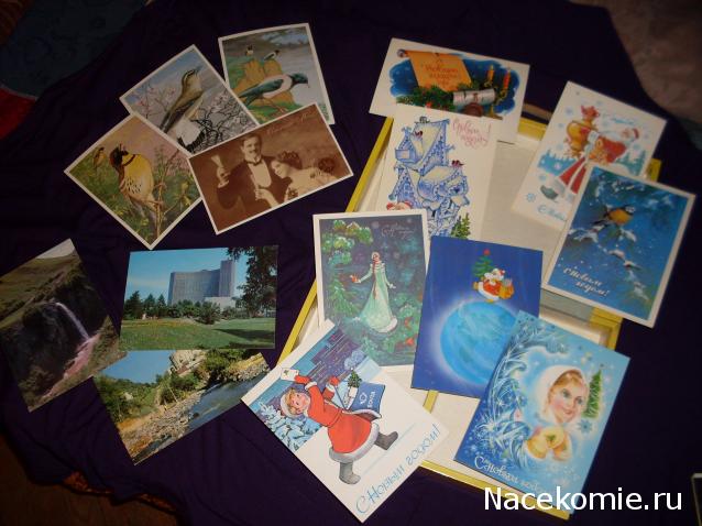 Друзья детства. Куклы, мишки и прочие игрушки