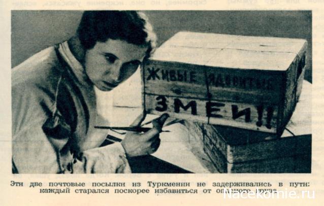 "Почта России". О ней самой...