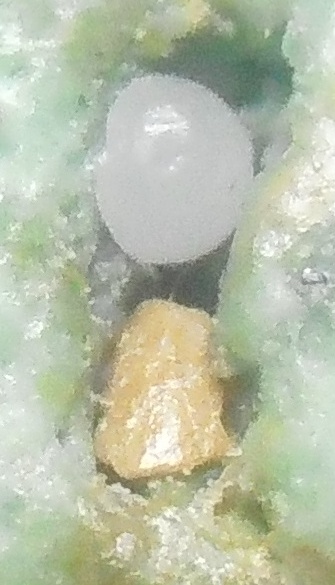 Энергия камней №114 Варисцит (окатанный камень) фото, обсуждение