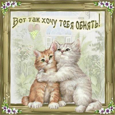 Margaritka. Гасиенда Каса де лос Суэньос