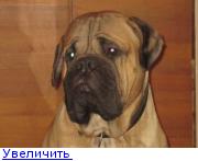 Дом Мечты. Аксессуары и мебель своими руками часть 2