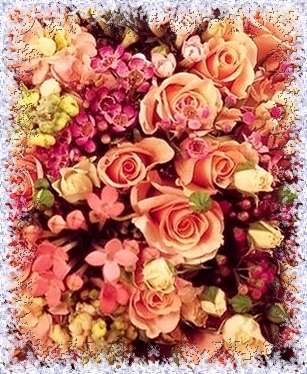 Дом Мечты наши дни рождения