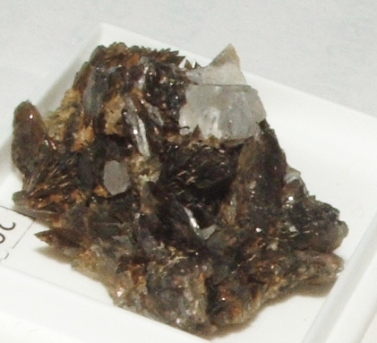 Коллекция камней Lar