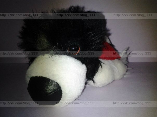 The Dog Collection Болталка