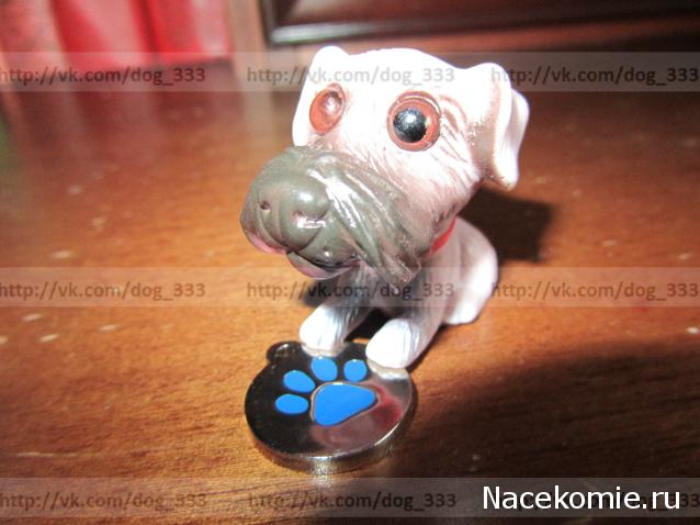 The Dog Collection Болталка