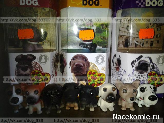 The Dog Collection Болталка